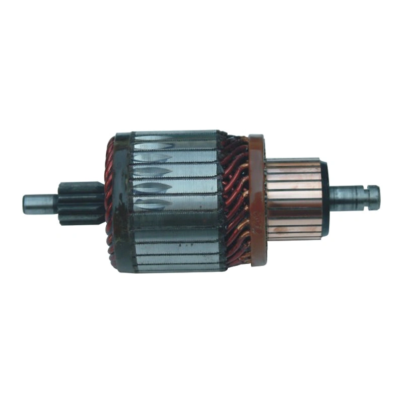 Starter Motor Armature 1004011032